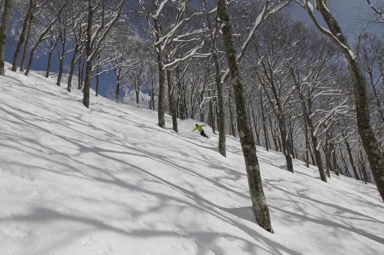 Hotel Powder Temple Hakuba Zewnętrze zdjęcie