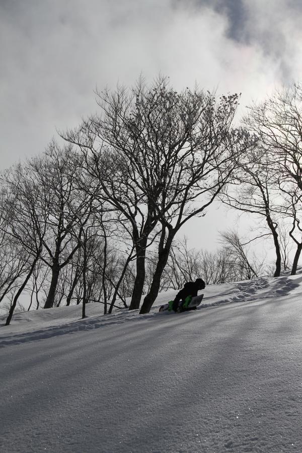 Hotel Powder Temple Hakuba Zewnętrze zdjęcie